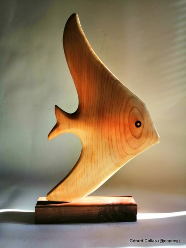 géard collas, sculpture, poisson, cèdre