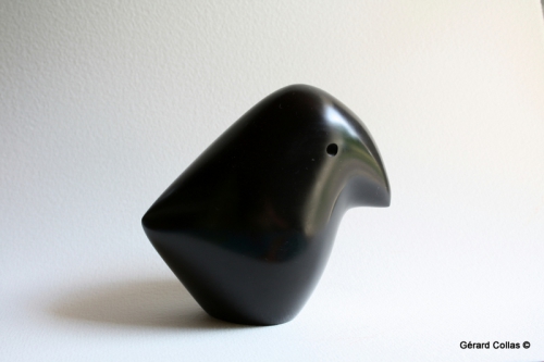black bird (1).JPG