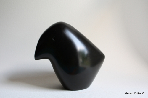 black bird (3).JPG